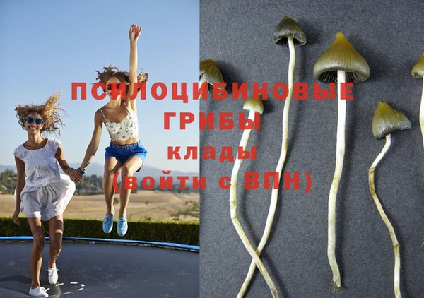 гашиш Алексин